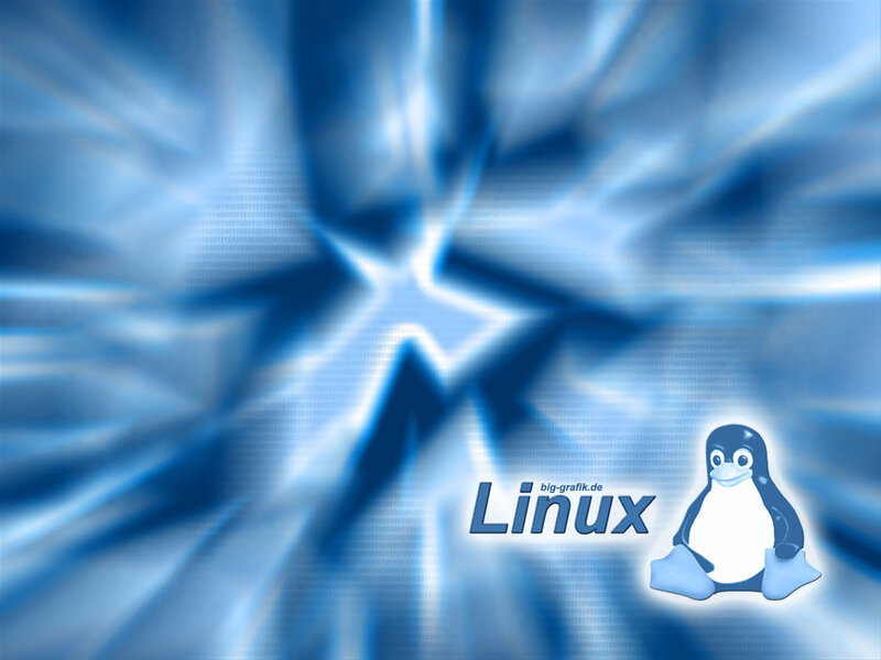 Linux penguin on blue background