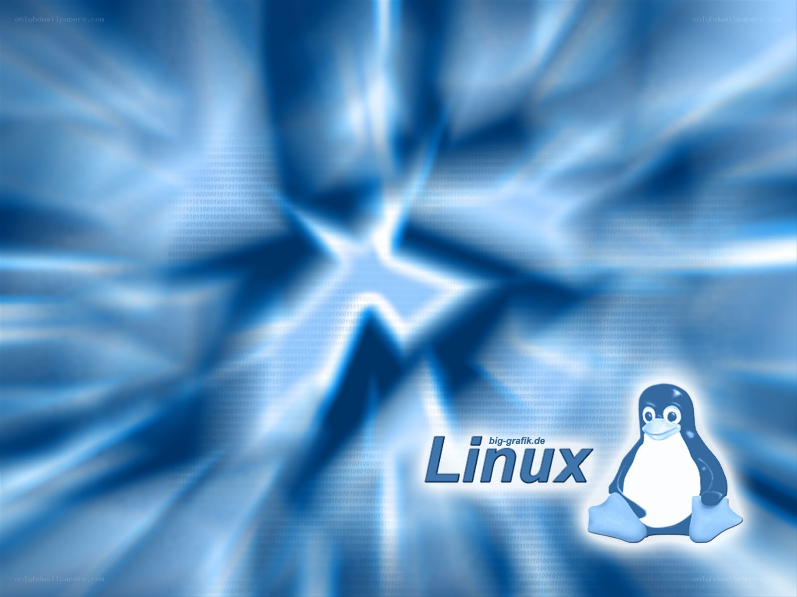 Linux penguin on blue background