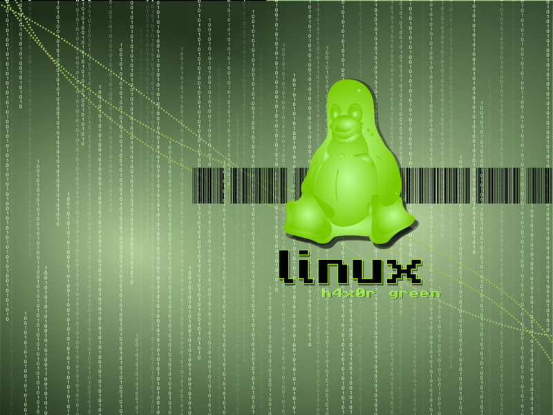 Linux penguin on digital background