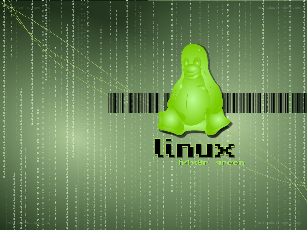 Linux penguin on digital background