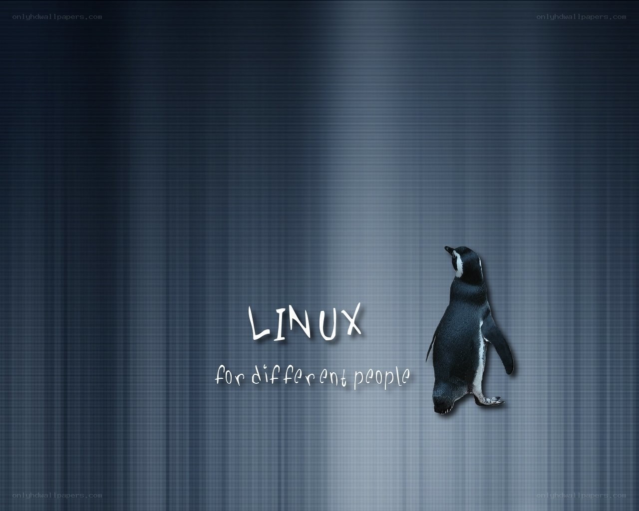 Linux penguin wallpaper