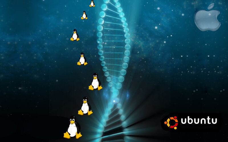 Linux penguins and DNA helix