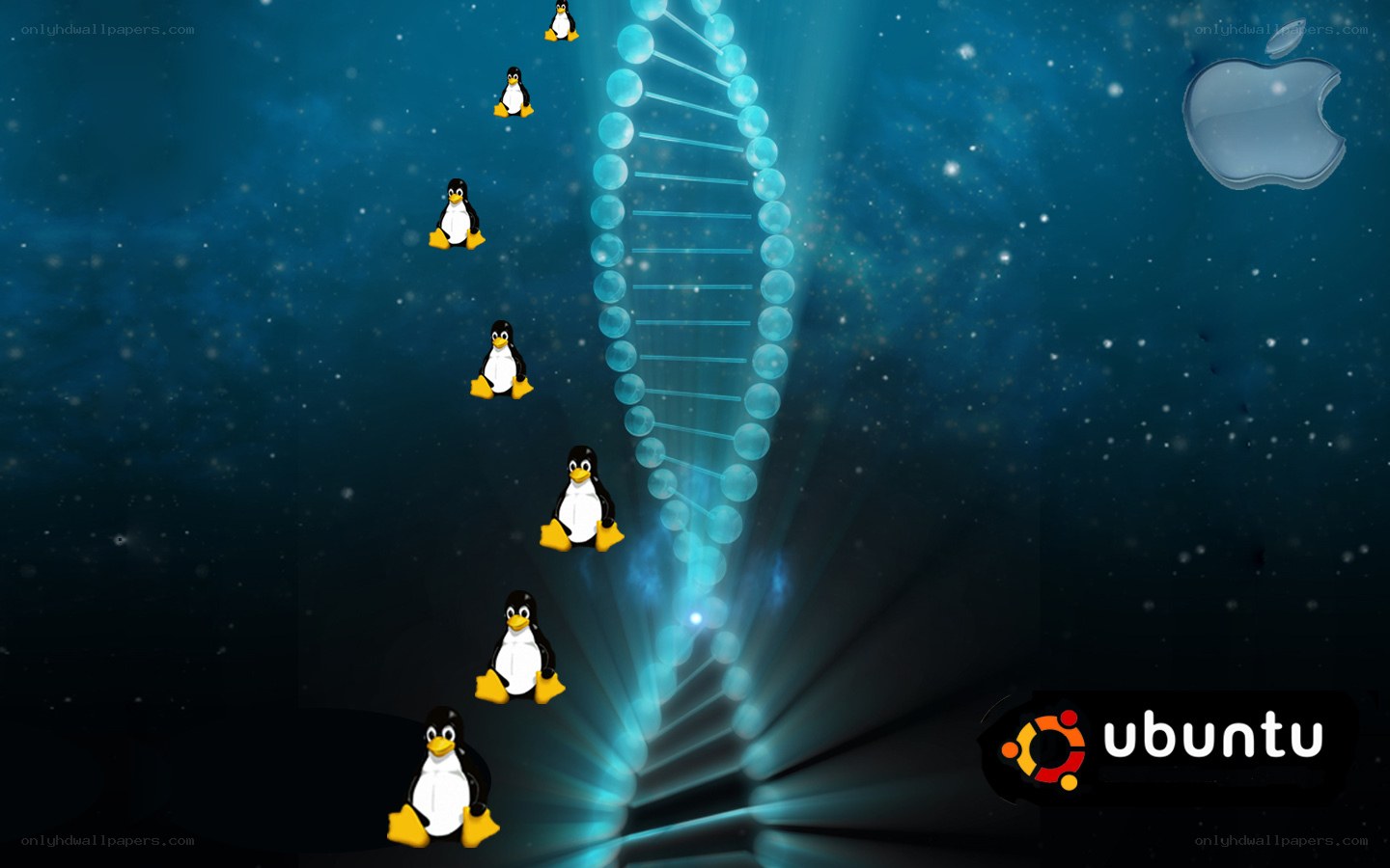 Linux penguins and DNA helix