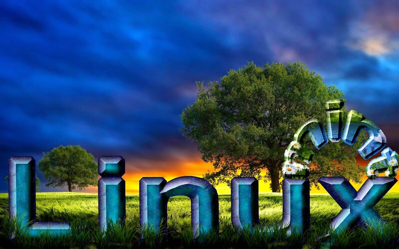 Linux Text in Field