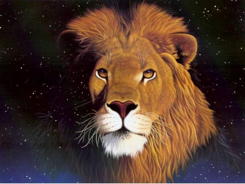 Lion against starry sky
