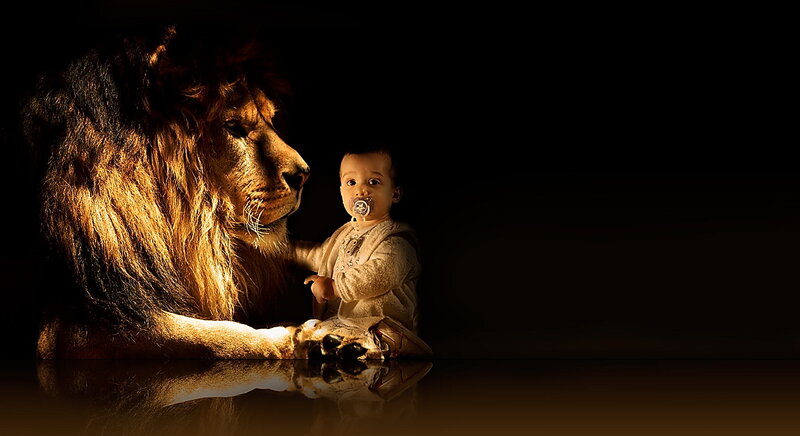 Lion and Baby