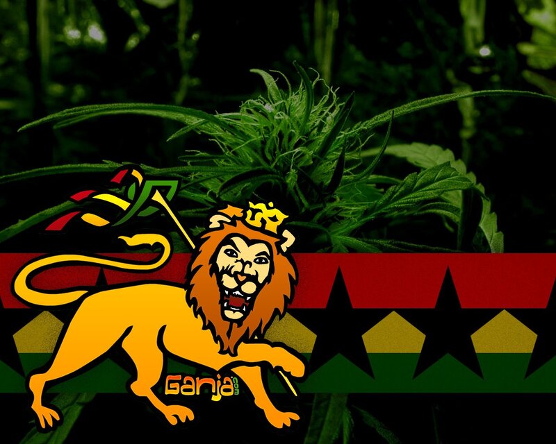 Lion and cannabis plant