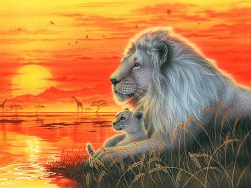 Lion and cub at sunset