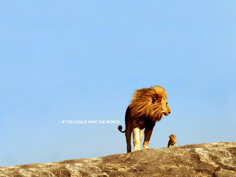 lion and cub on a rock