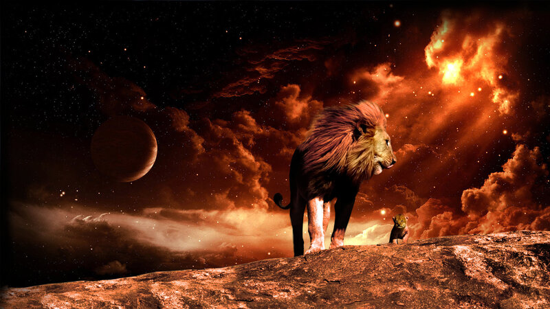 Lion and Cub on Rock — Orange, Dramatic, Night