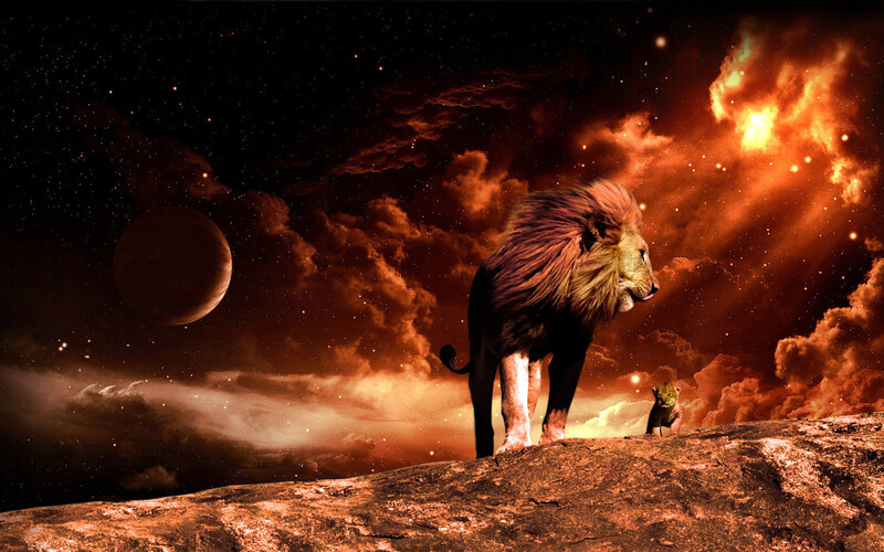 Lion and Cub on Rock