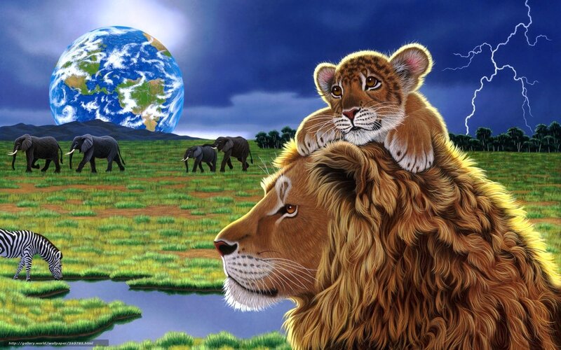 Lion and cub on savanna