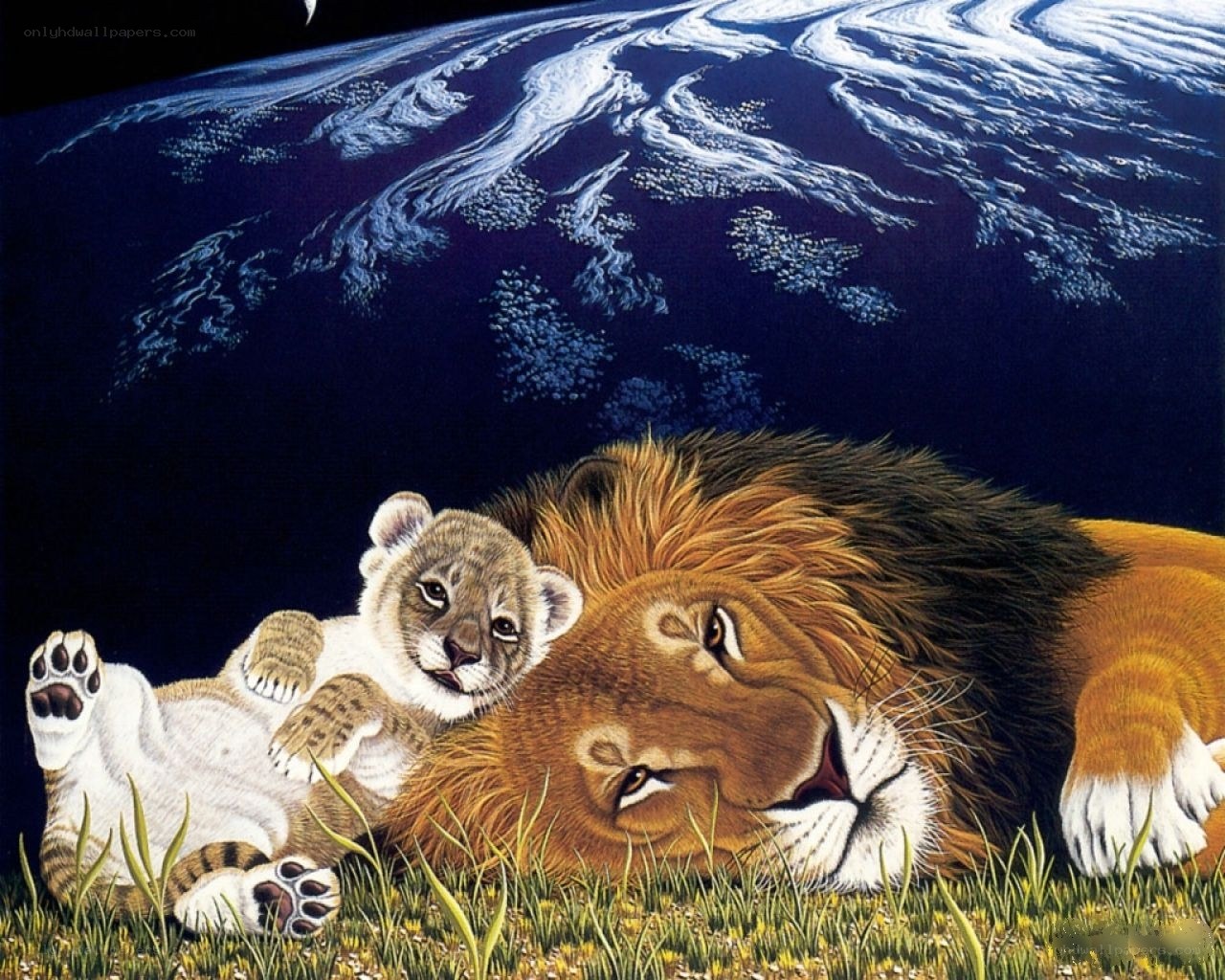Lion and cub sleeping
