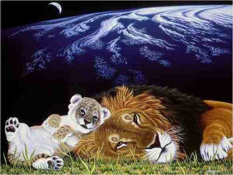 Lion and Cub Sleeping — Brown, Serene