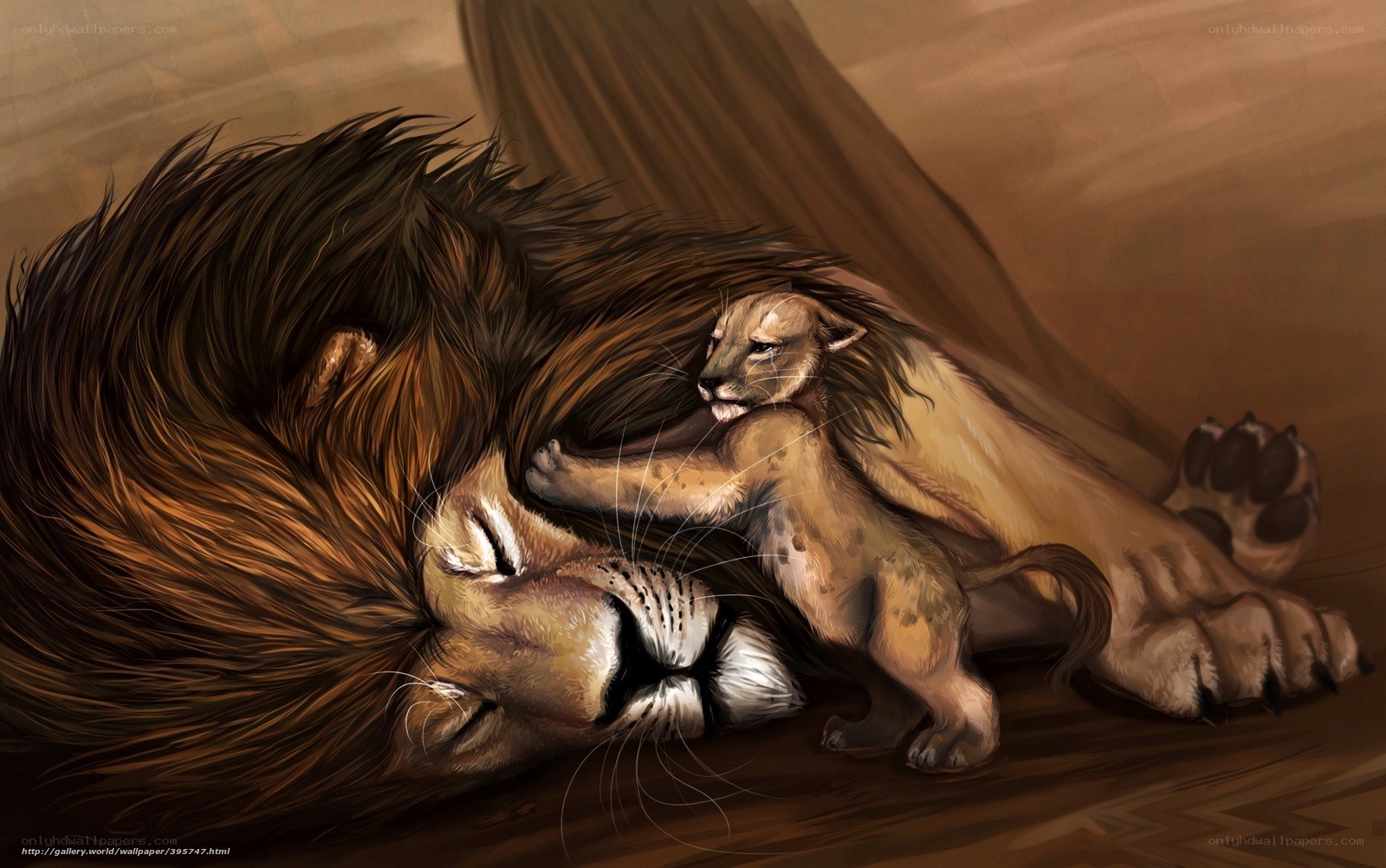 Lion and cub sleeping