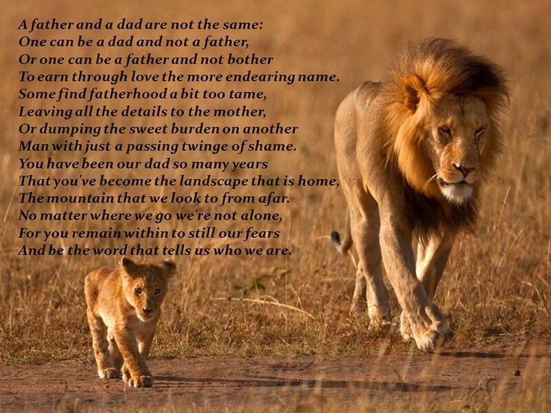 Lion and Cub Walking