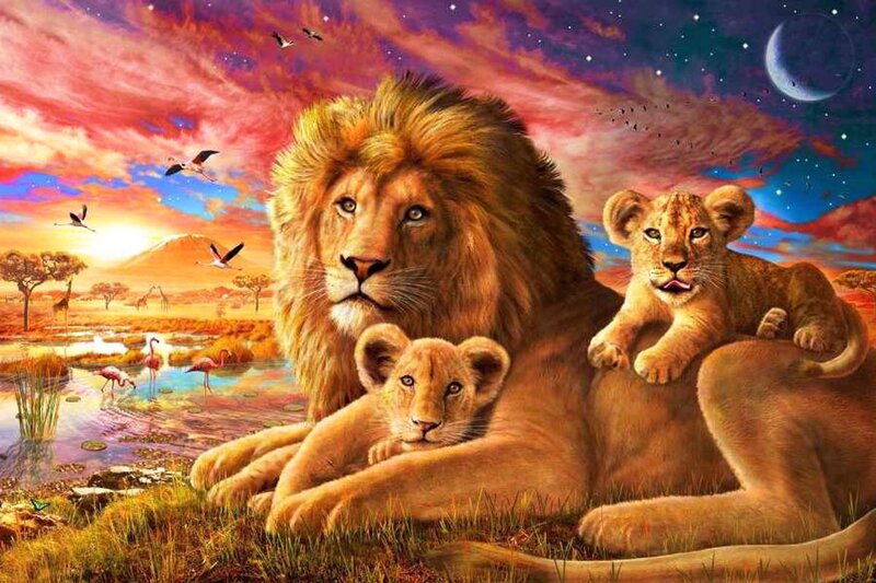 Lion and Cubs — Orange