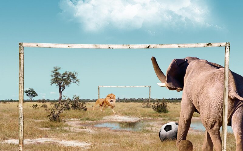 Lion and Elephant Playing Soccer — Blue