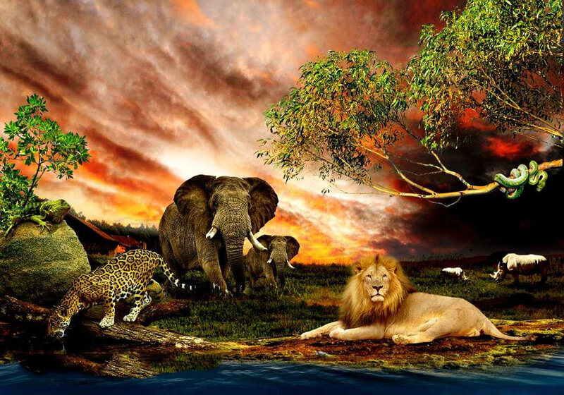 Lion and Elephants in Savanna