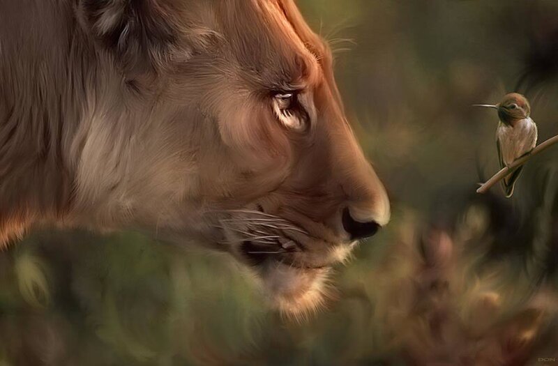 Lion and hummingbird encounter
