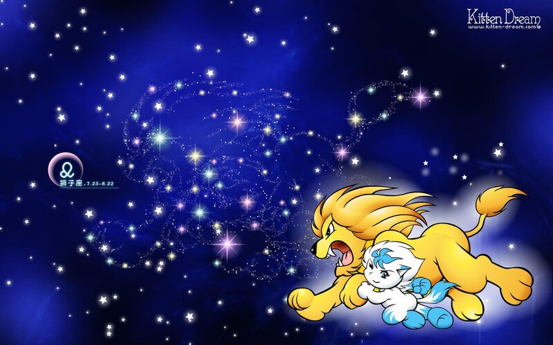 Lion and kitten in starry sky