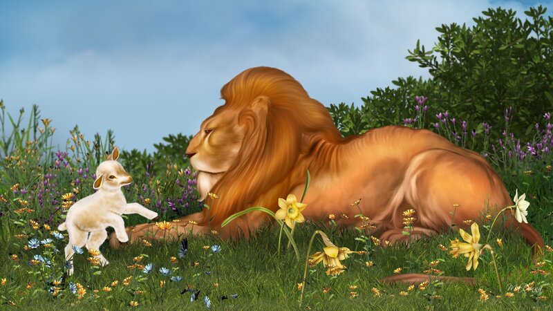 Lion and Lamb in Field