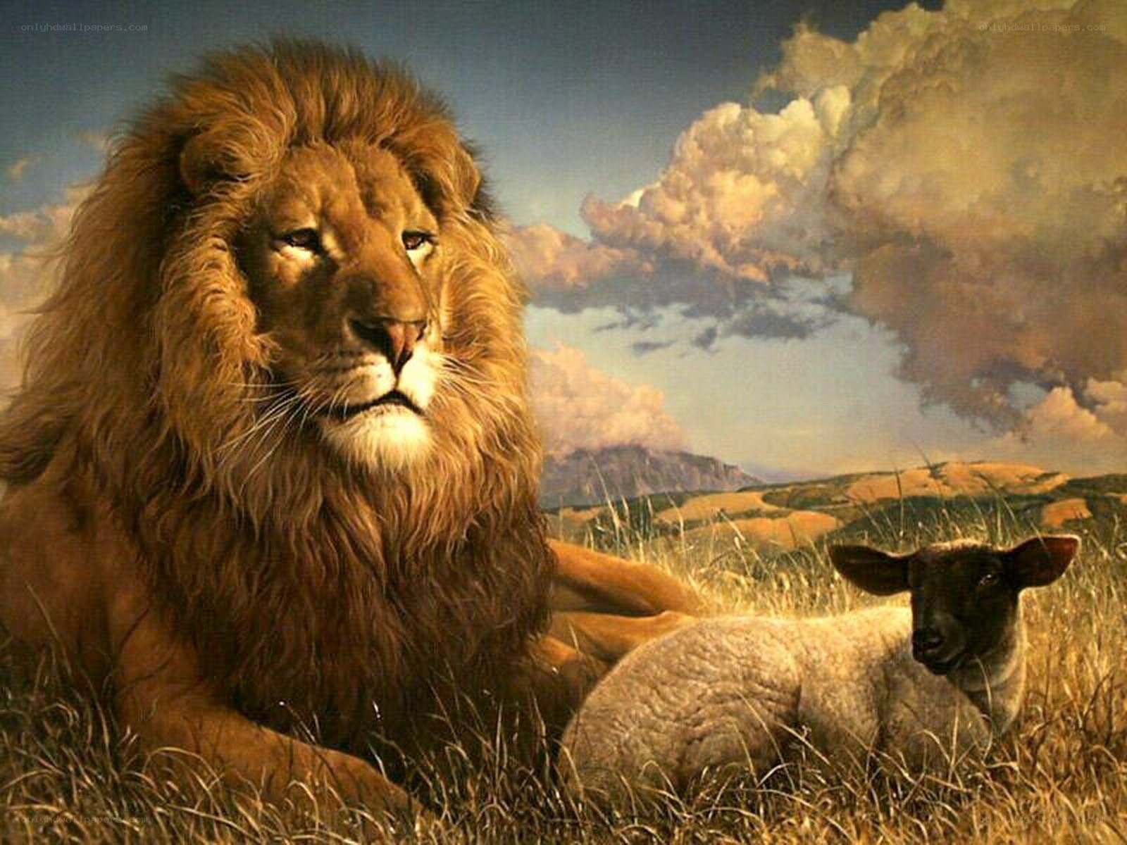 Lion and lamb in peace