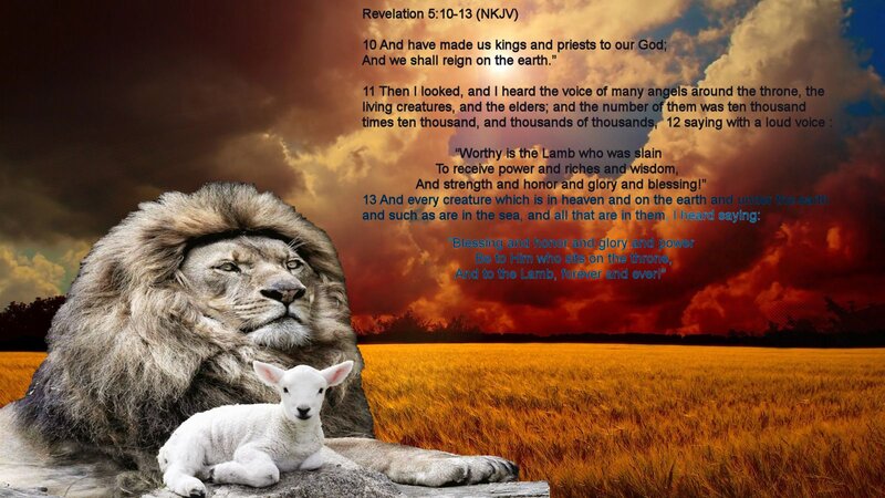 Lion and Lamb — Orange
