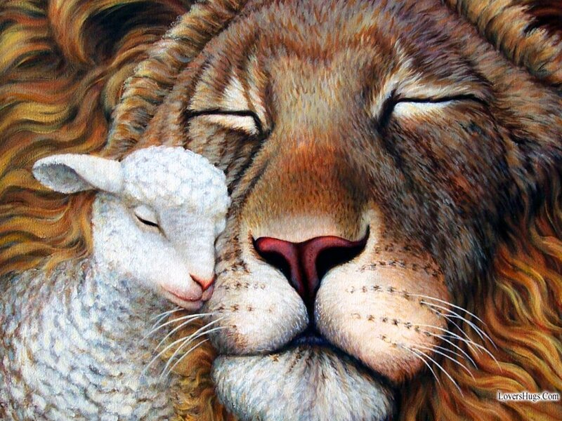 Lion and Lamb Sleeping — Brown