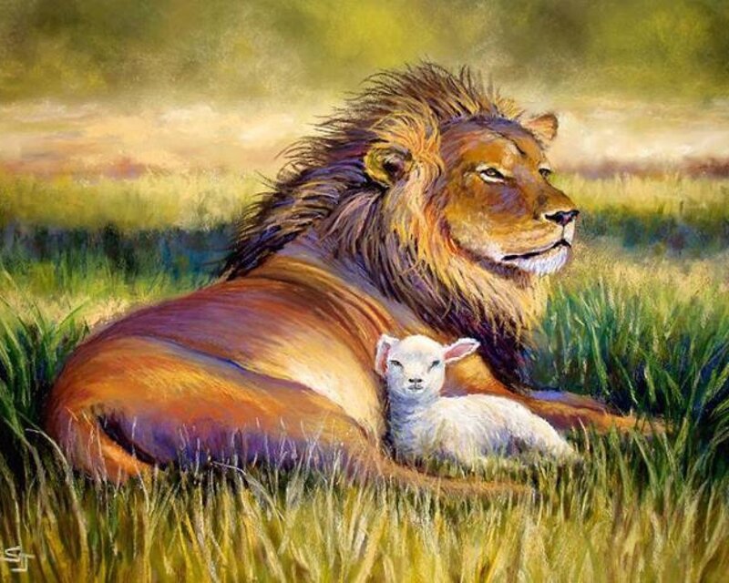 Lion and Lamb Together — Green, Peaceful, Afternoon
