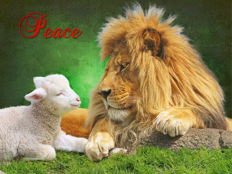 Lion and Lamb Together — Green, Peaceful
