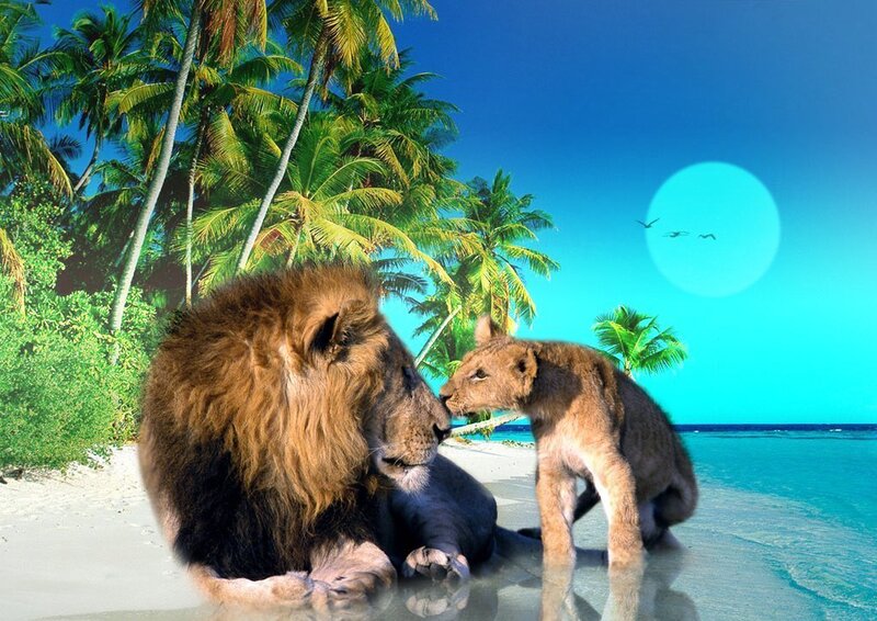 Lion and Lion Cub — Blue