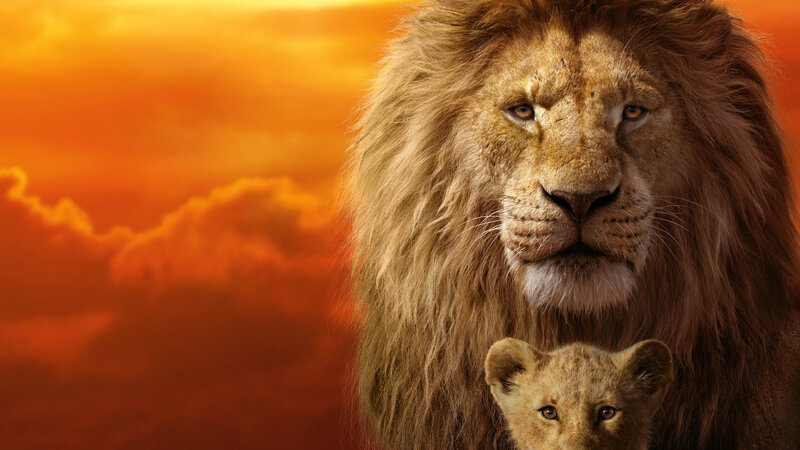 Lion and Lion Cub — Orange, Dramatic, Sunset