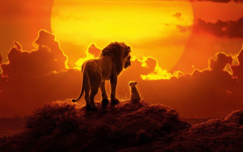 Lion and Lion Cub — Orange, Dramatic