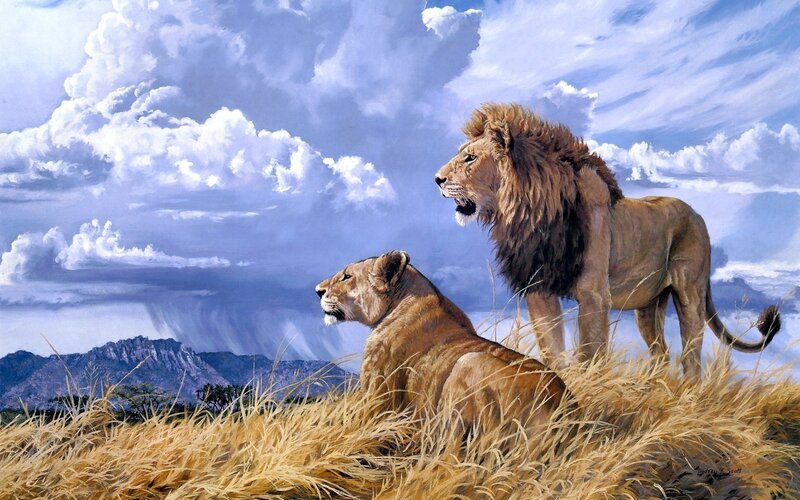 Lion and Lioness on Hill — Blue