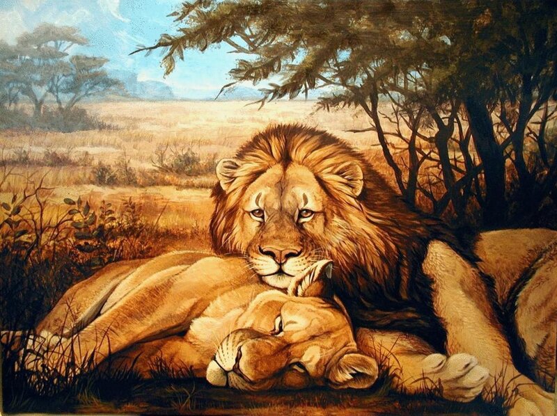 Lion and lioness resting
