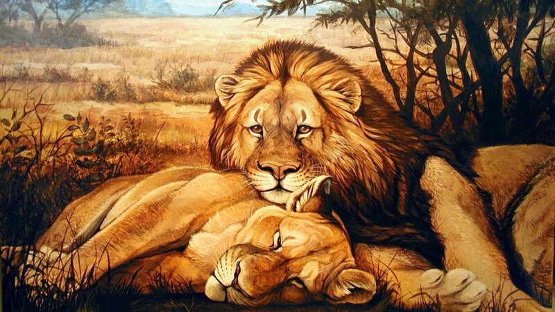 Lion and Lioness Resting — Brown, Calm, Afternoon, Painting