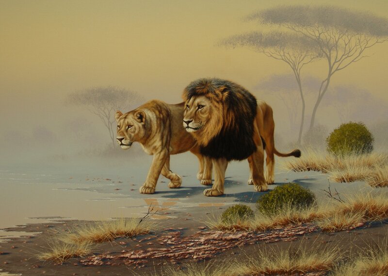 Lion and Lioness Walking