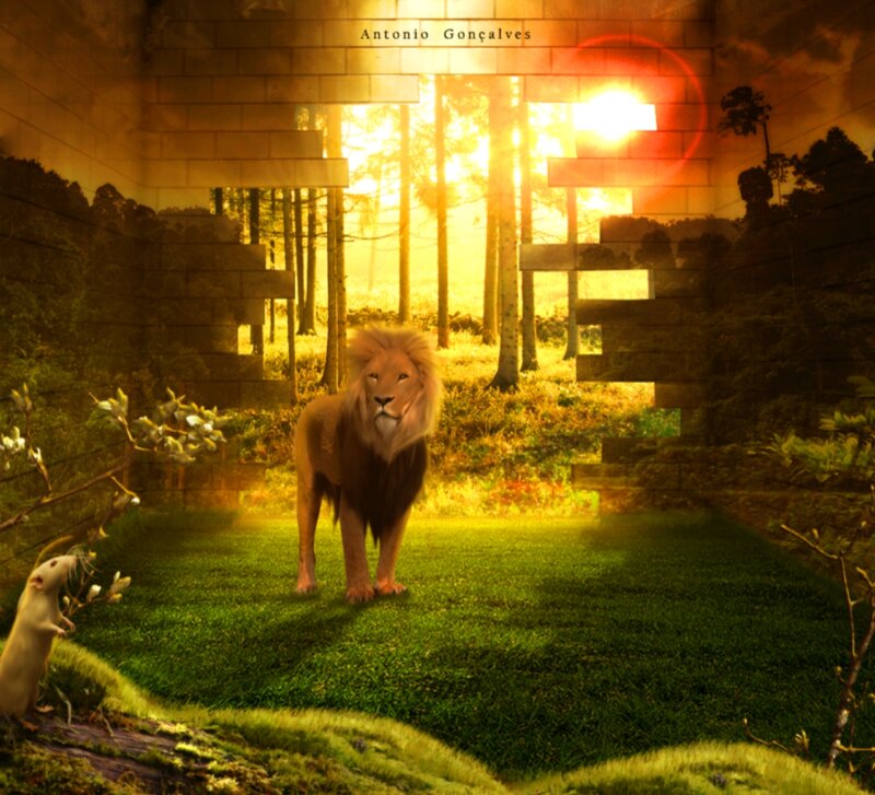 Lion and Mouse in Forest