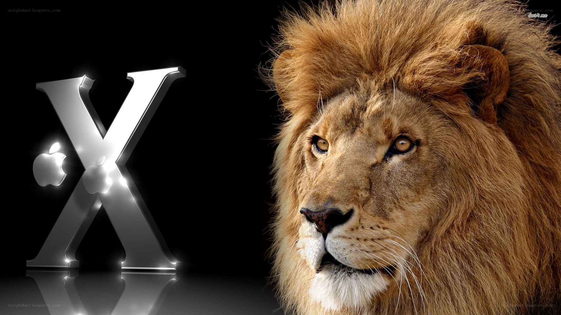 Lion and OS X logo