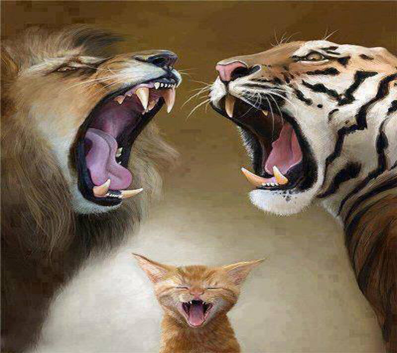 Lion and Tiger Roaring