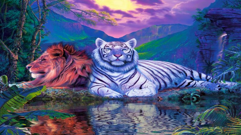 Lion and White Tiger — Purple, Serene