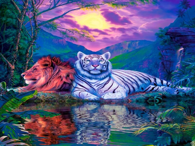Lion and White Tiger