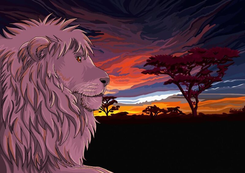 Lion at sunset in savanna