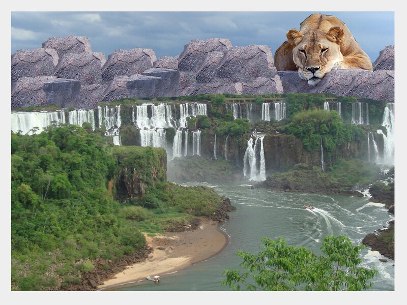 Lion at Waterfall