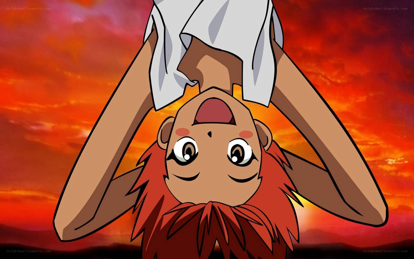 lion character at sunset