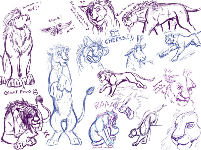 Lion Character Sketches