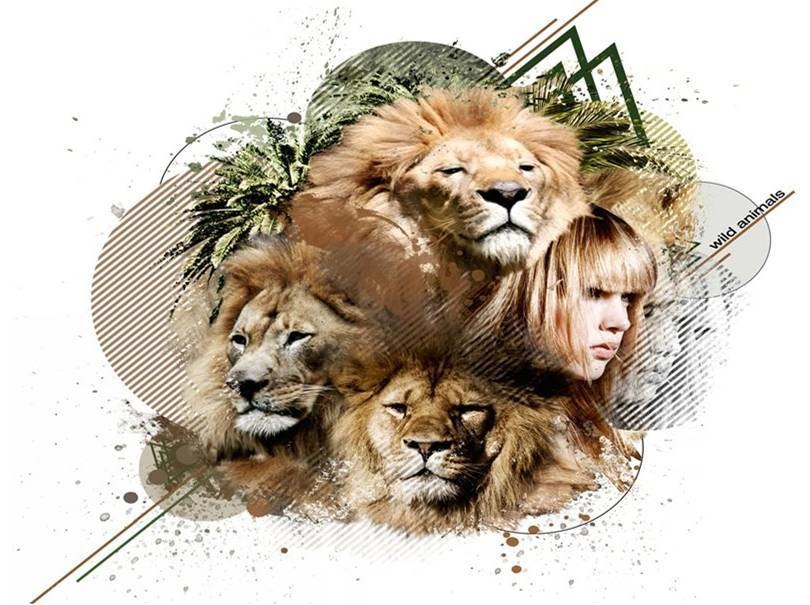 Lion collage with girl