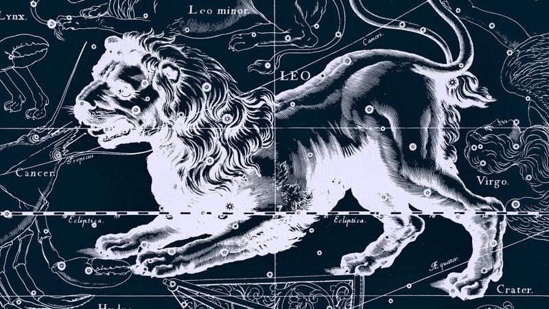 Lion Constellation — Blue