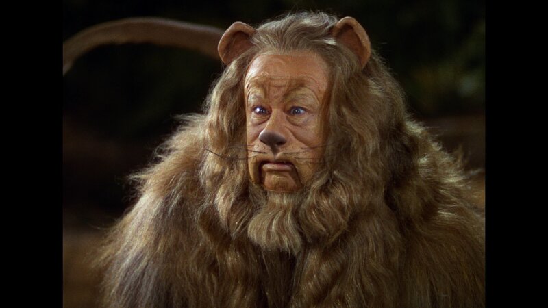 Lion Costume Character